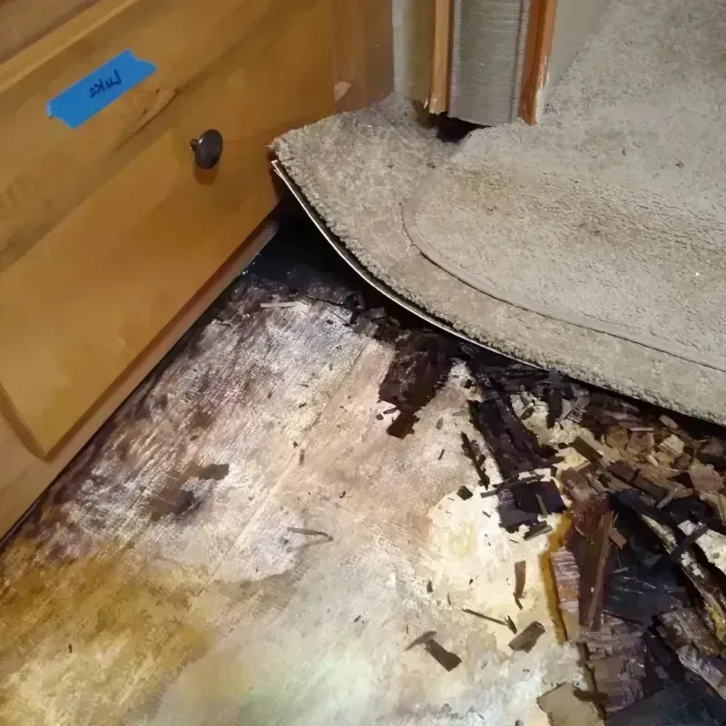 Wood Floor Water Damage in Edwardsville, IL